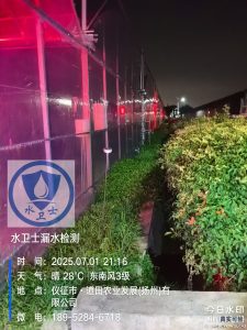 仪征漏水检测案例